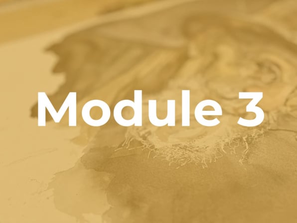 Buy Module 3